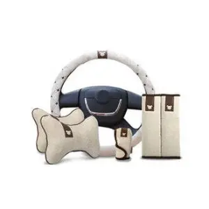 Accesorii auto