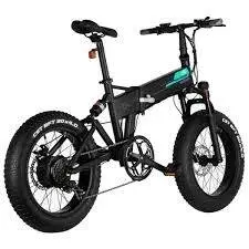 Biciclete electrice