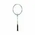 Rachete de badminton