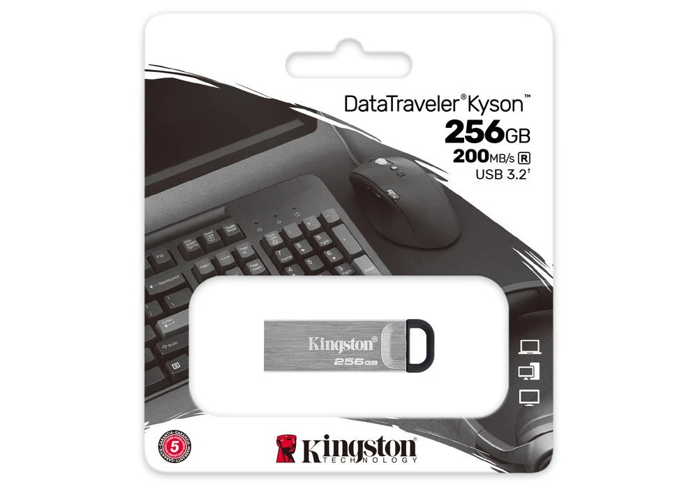 Usb flash накопитель kingston datatraveler kyson, 256гб, серебристый 2
