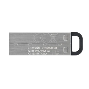 Usb flash накопитель kingston datatraveler kyson, 256гб, серебристый Thumbnail 9