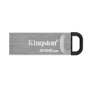 USB Flash накопитель Kingston DataTraveler Kyson, 256Гб, Серебристый