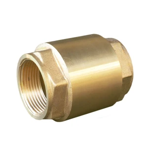 Supapa cu arc 3