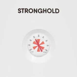Бойлер stronghold swh-100cm Thumbnail 7