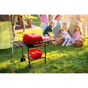 Grătar gardenline bbq0155 Thumbnail 6