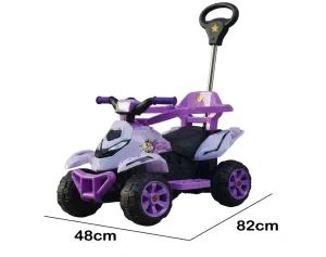 Tolocar violet (jt - 287)