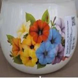 Ceainic petunia 0.7l (lăptos) (1/4) (nm - 3141)