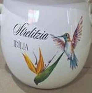 Ceainic colibri (lăptos) 2.5l (1/4) (nm - 3148)