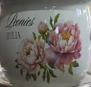 Кастрюля пион (молочный) 2,5l (1/8) (nm - 3151)