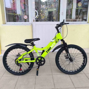 22" bicicletă verde (vl - 650)