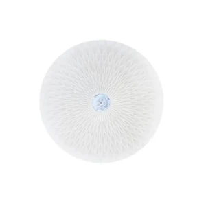 Plafonieră led radius 36 w smd 6400 k 220 - 240 v ip20 horoz