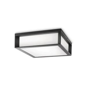Aplică skies 42 w e27 220 - 240 v ip44 philips