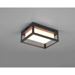 Aplică led witham 10.5 w smd ip54 2300 - 3000 - 4000 k 220 - 240 v trio Thumbnail 2