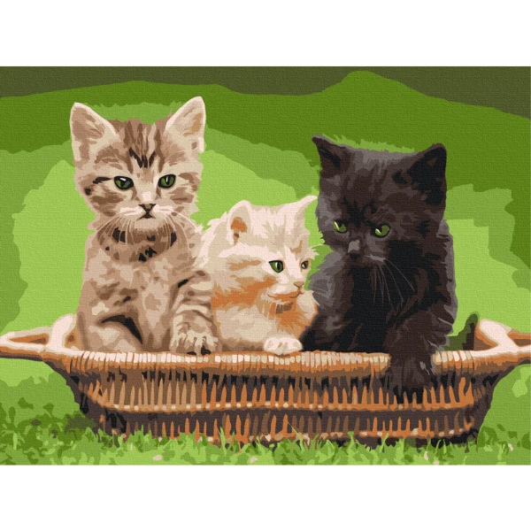 Картина по номерам 30*40 см (без упаковки) -  котята в корзине 8