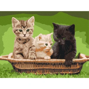 Картина по номерам 30*40 см (без упаковки) -  котята в корзине Thumbnail 8