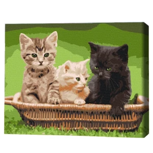 Картина по номерам 30*40 см (без упаковки) -  Котята в корзине