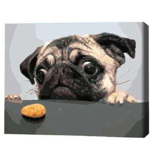 Pictură pe numere 40x50 cm (fără cutie)  –  mopsul