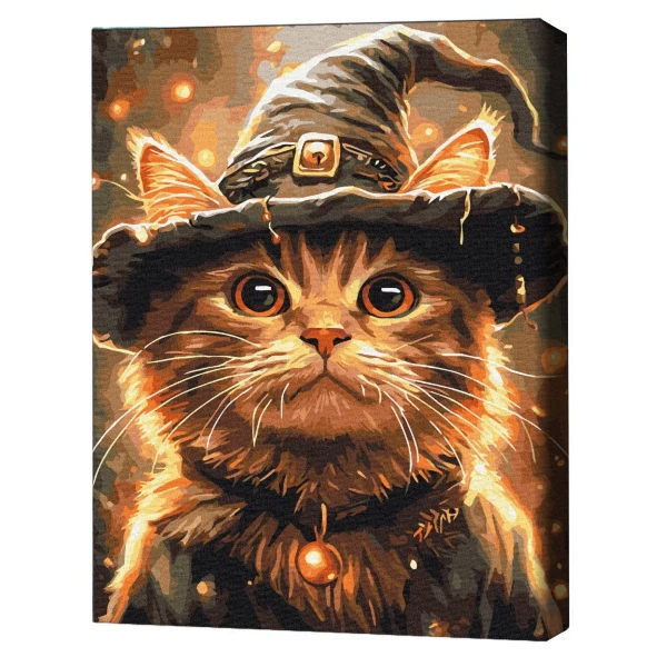 Pictură pe numere 40x50 cm (fără cutie)  –  pisicuța vrăjitoare 2