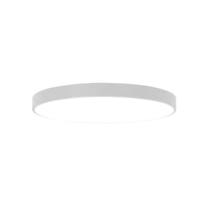 Светильник светодиодный hazel 32 вт smd 6400 k 220 - 240 в ip20 horoz