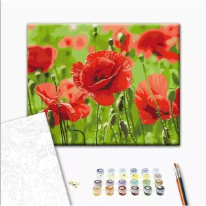 Pictură pe numere 40х50 cm (fără cutie) – maci roșii Thumbnail 2