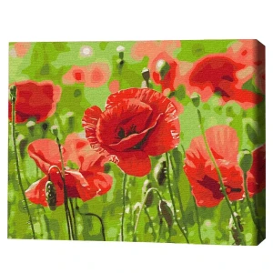 Pictură pe numere 40х50 cm (fără cutie) – maci roșii