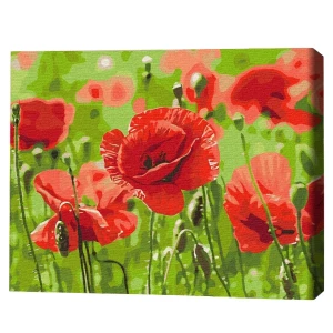 Pictură pe numere 40х50 cm (fără cutie) – Maci roșii