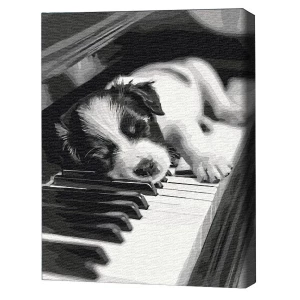 Pictură pe numere 40*50 cm (în cutie) – Melodia somnului