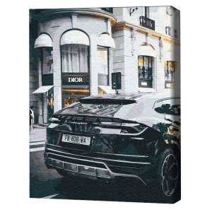 Pictură pe numere 40х50 cm (fără cutie)  – Viață luxoasă