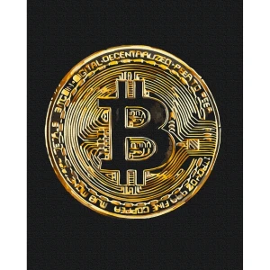 Pictură pe numere 40х50 cm (fără cutie)  – bitcoin Thumbnail 3