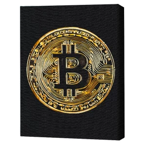 Картина по номерам 40х50 см (без упаковки) - Биткойн