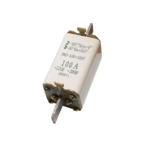 Siguranță пн-2-100-10 уз 63 a 220 - 380 v elect beltiz