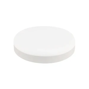 Felinar led carla 48 w smd 6400 k 220 - 240 v ip20 horoz