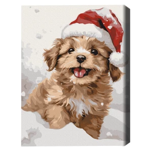 Pictură pe numere 40×50 cm (în cutie) – cățel acoperit de zăpadă