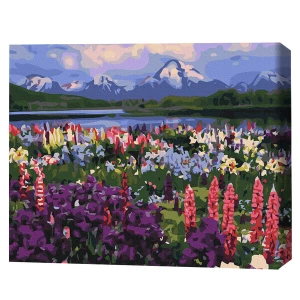 Pictură pe numere 40*50 сm (în cutie) – valea florilor de câmp