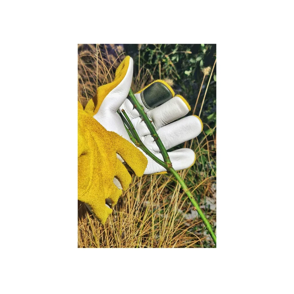 Mănuşi de grădină cu protecţie anti-spini 8 galben flo 2