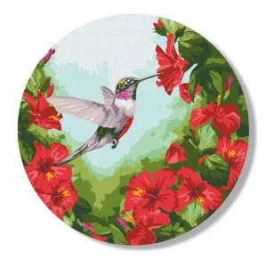 Pictură pe numere d 30 сm (fără cutie) – colibri (m)