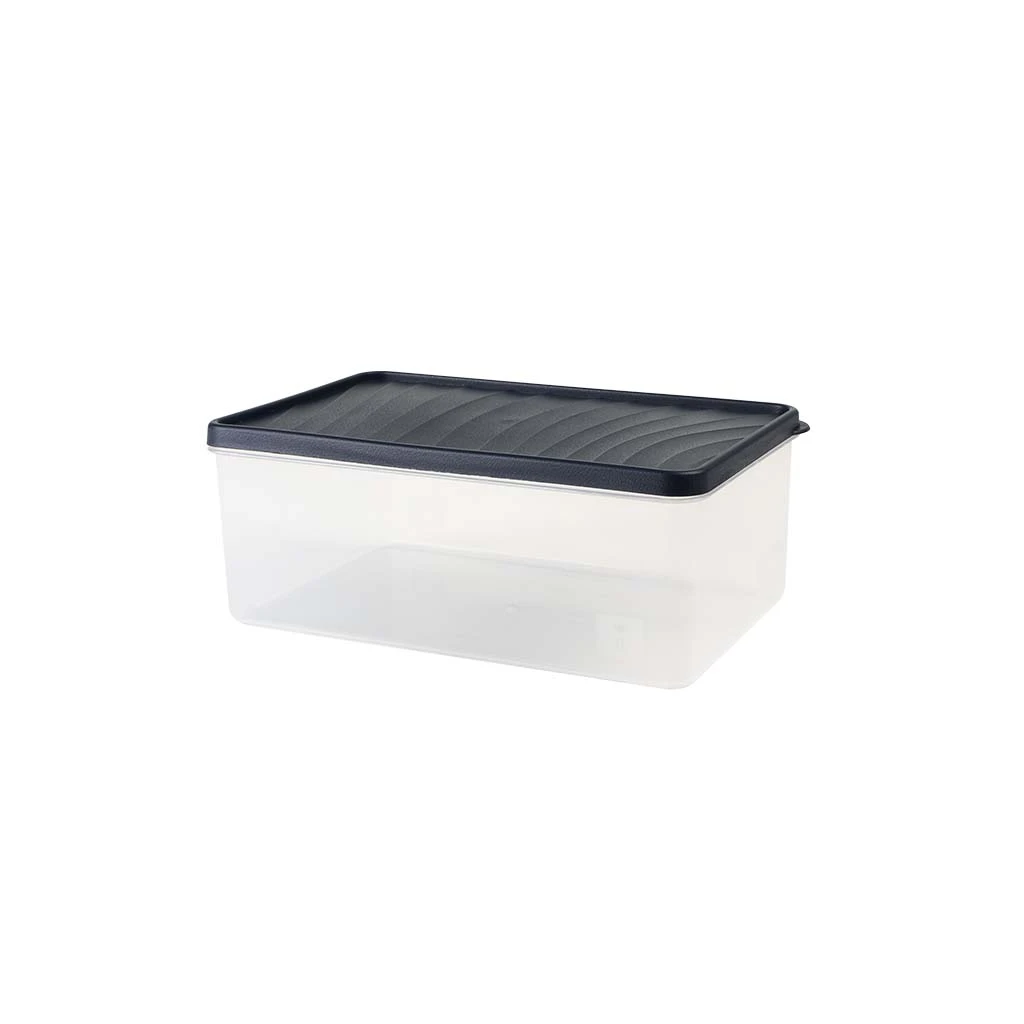 Recipient pentru congelare decobella, cu copac, 2,1 l 5