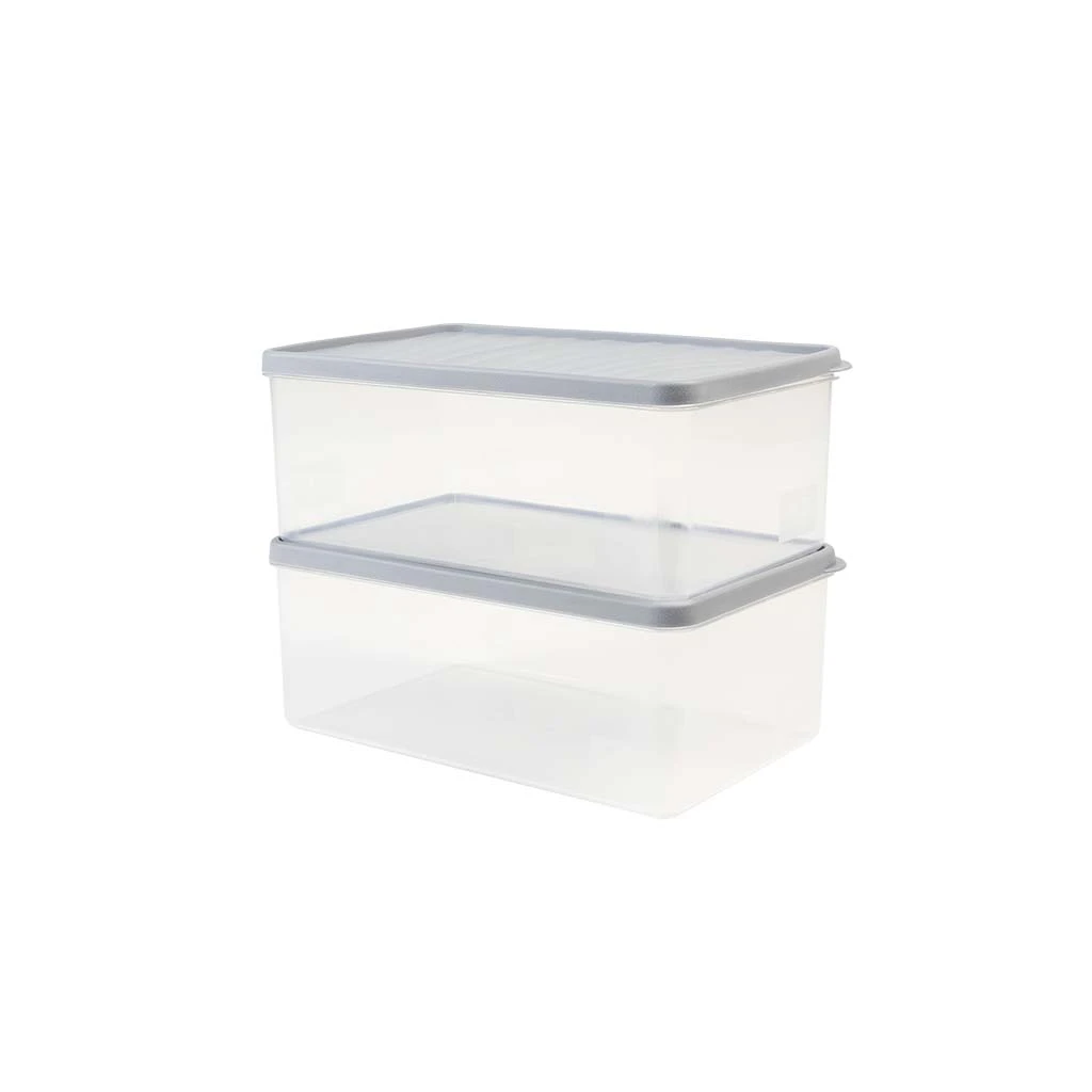 Recipient pentru congelare decobella, cu copac, 2,1 l 4