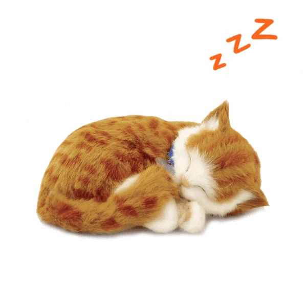Jucărie interactivă "pisicuța tabby portocalie" 2