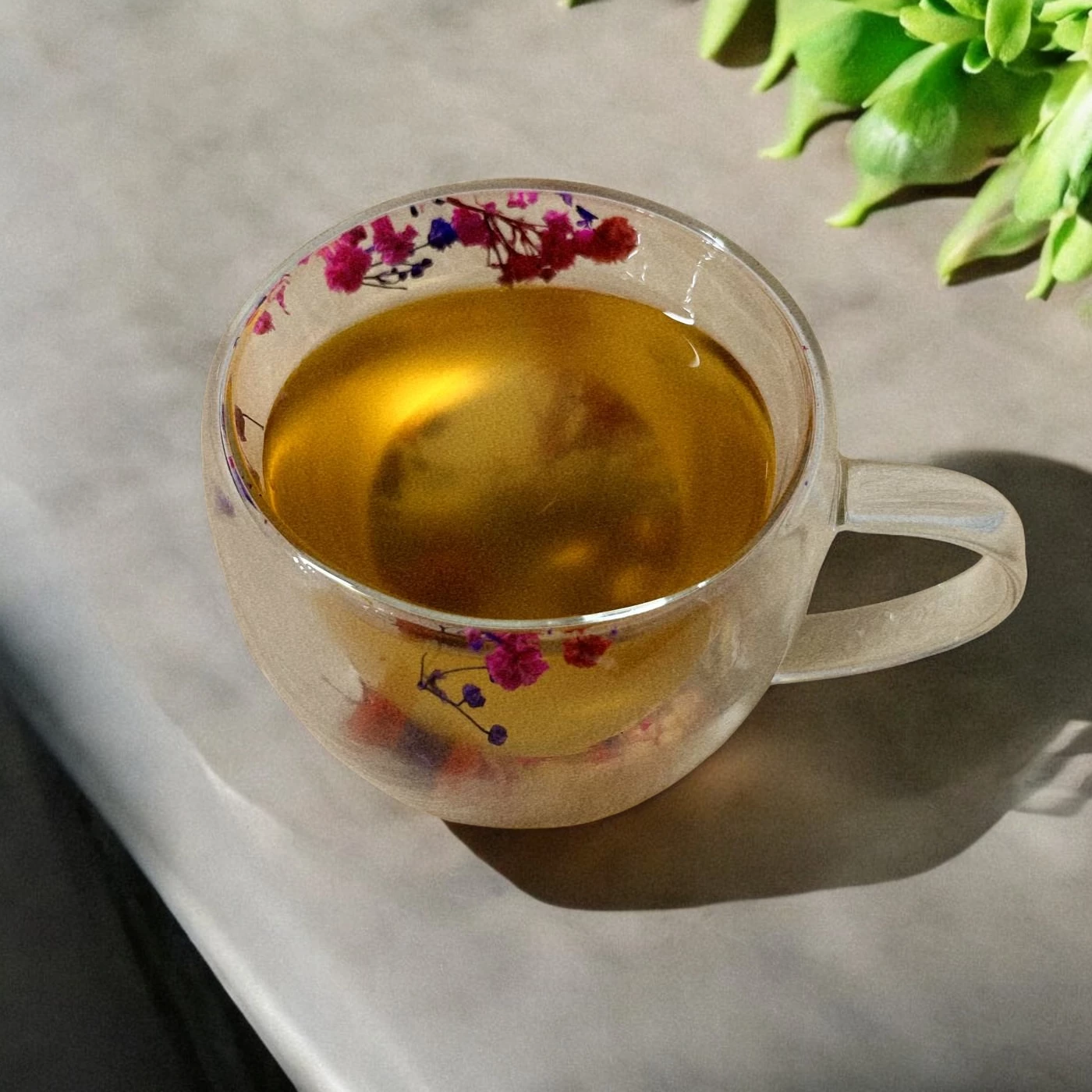 Cana pereti dubli (cu flori roz-violet) 2