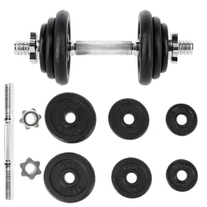 Гантели sg03 abisal cast iron dumbbell 10 kg