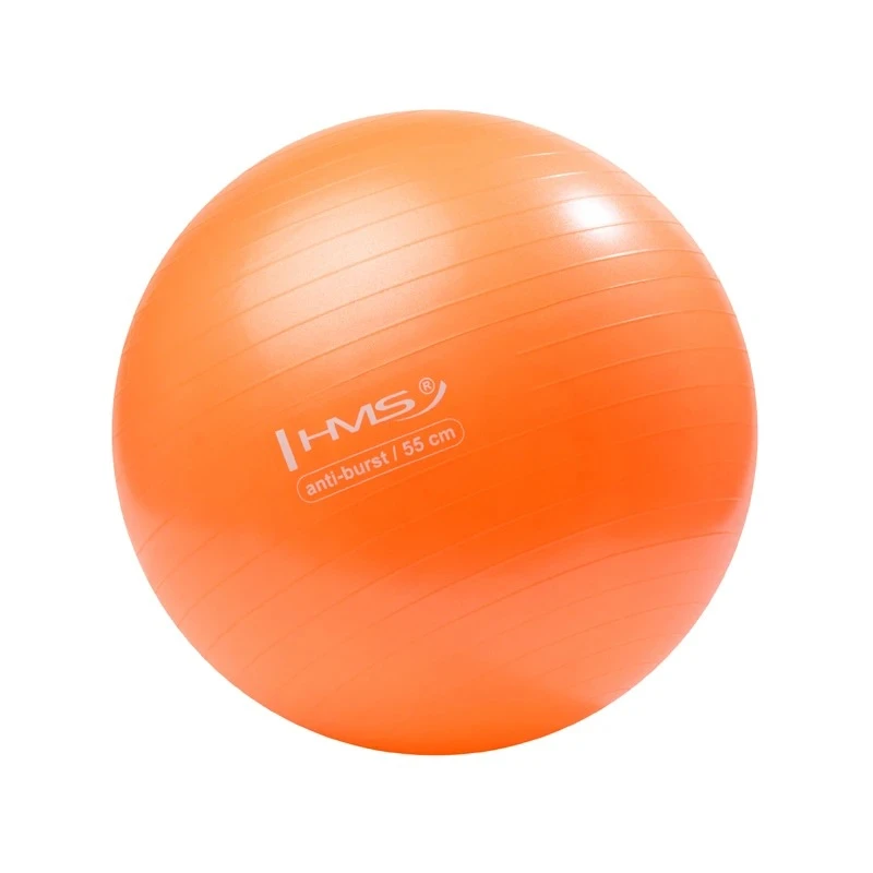 Гимнастический мяч, hms, yb02 | размер: 55 cm, цвет: blue, ball diameter: 55 cm 2