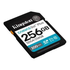 Карта памяти kingston canvas go! plus, 256гб (sdg4/256gb) Thumbnail 2