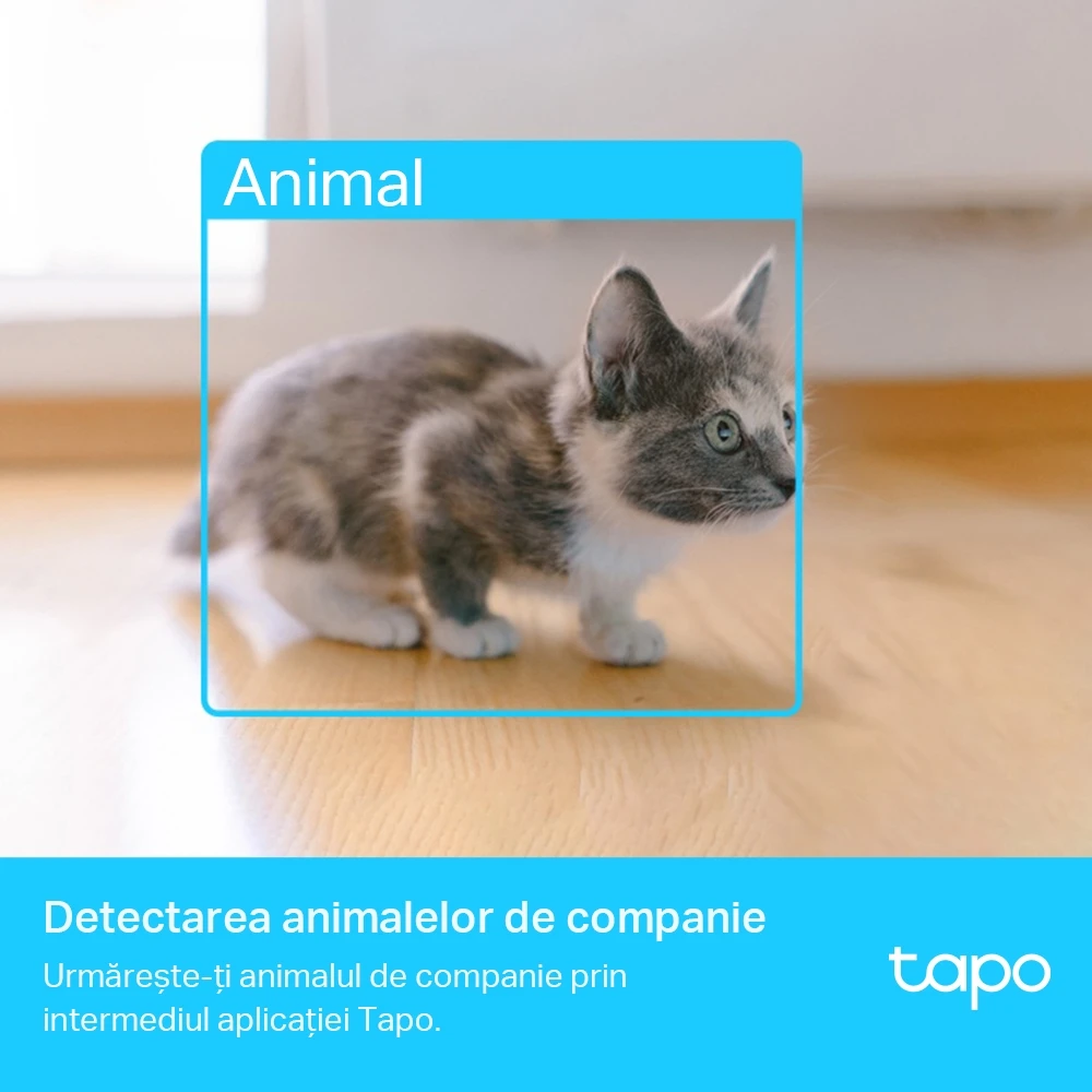 Умная камера видеонаблюдения tp-link tapo c225, белый 3