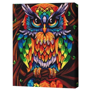 Картина по номерам 30*40 см (без упаковки) - радужная мудрая сова