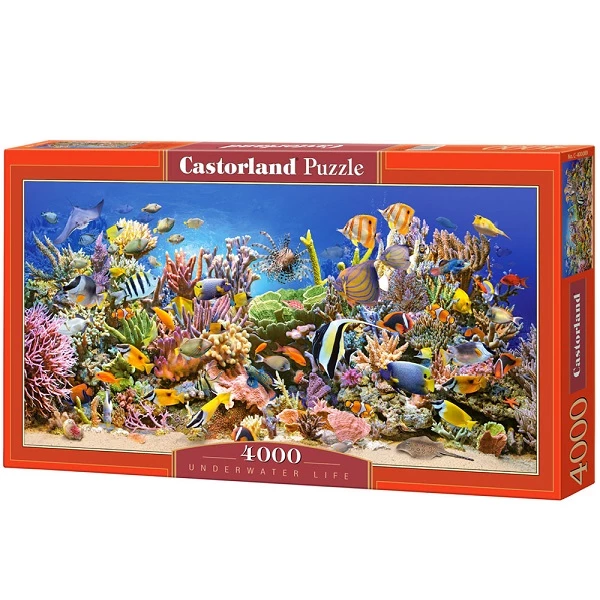 Puzzle 4000 elemente 2