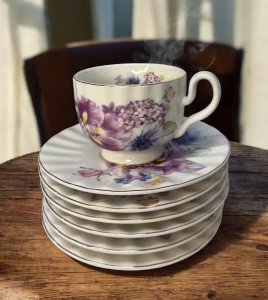 SET CESTI PENTRU CEAI SI CAFEA 12 PCS (QS26-3)