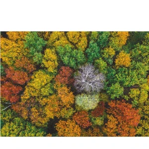 Пазл "село дземброня. украина", серии пейзажи, 1000 элем. Thumbnail 2