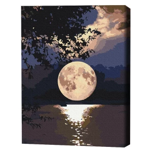 Pictură pe numere 40*50 cm (în cutie) – apus de soare