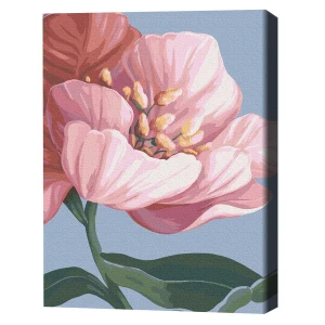 Pictură pe numere 40*50 cm (în cutie) - a înflori